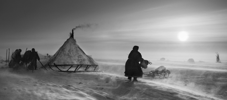 GENESI MOSTRA FOTOGRAFICA di Sebastião Salgado