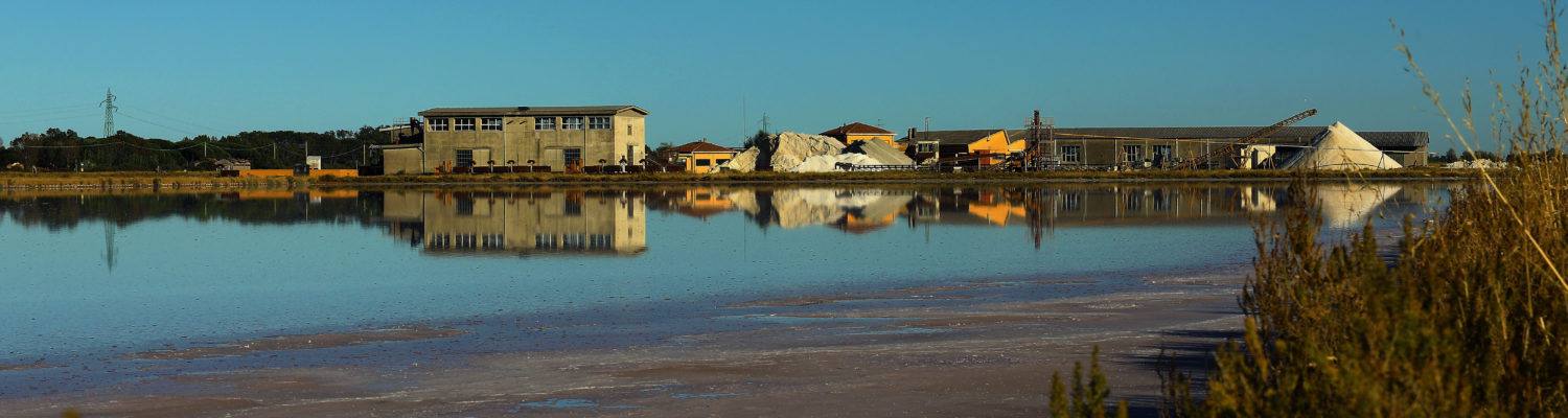 Cervia - Saline (S. Broccoli)